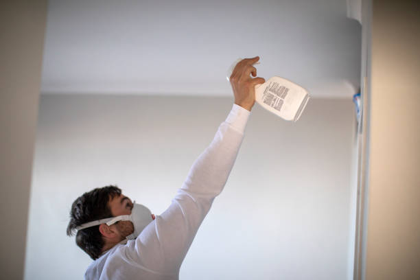 Best Residential Mold Removal  in Laingsburg, MI