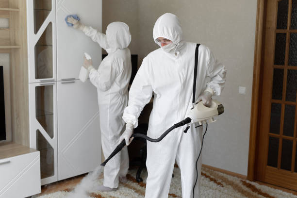 Certified Mold Removal in Laingsburg, MI