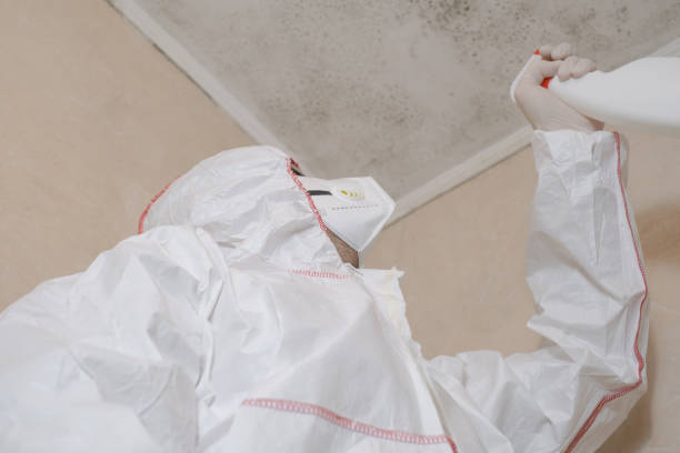Best Certified Mold Removal  in Laingsburg, MI